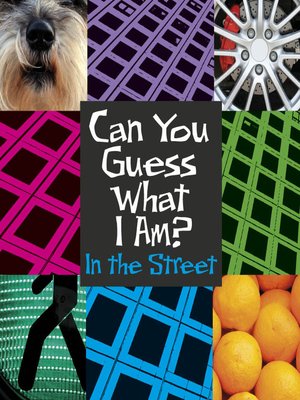 cover image of In the Street